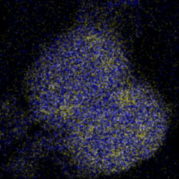 Multidimensional Imaging of Molecular Structures