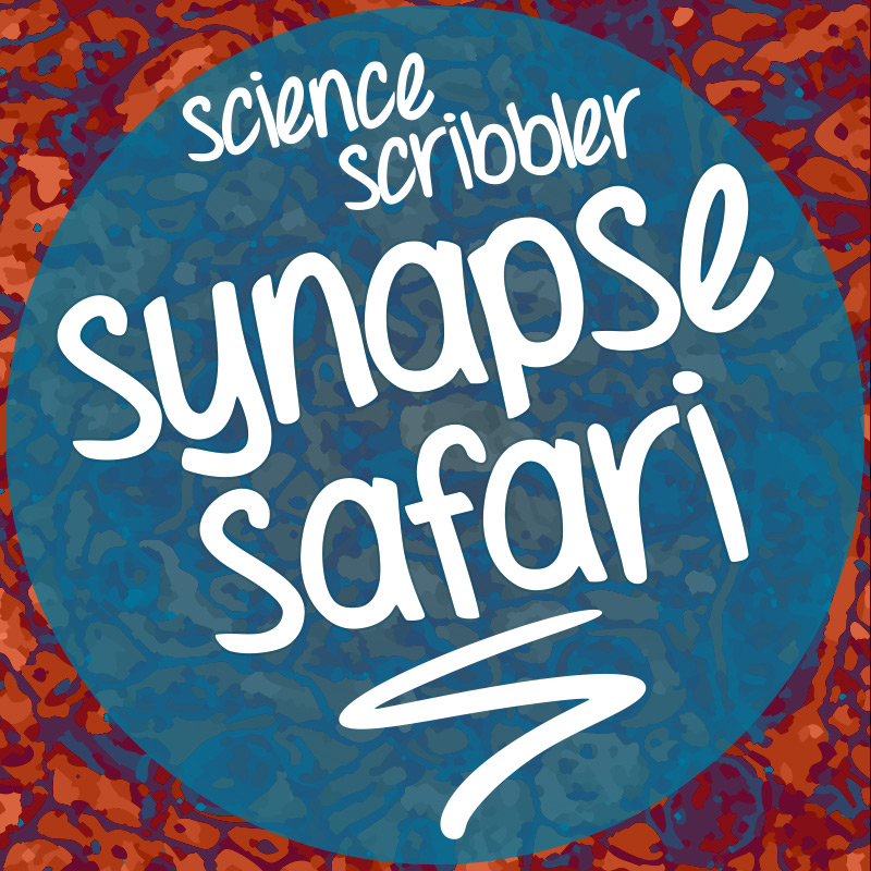 Synapse Rover Mapping the Developing Hippocampus with Synapse Safari - RFI