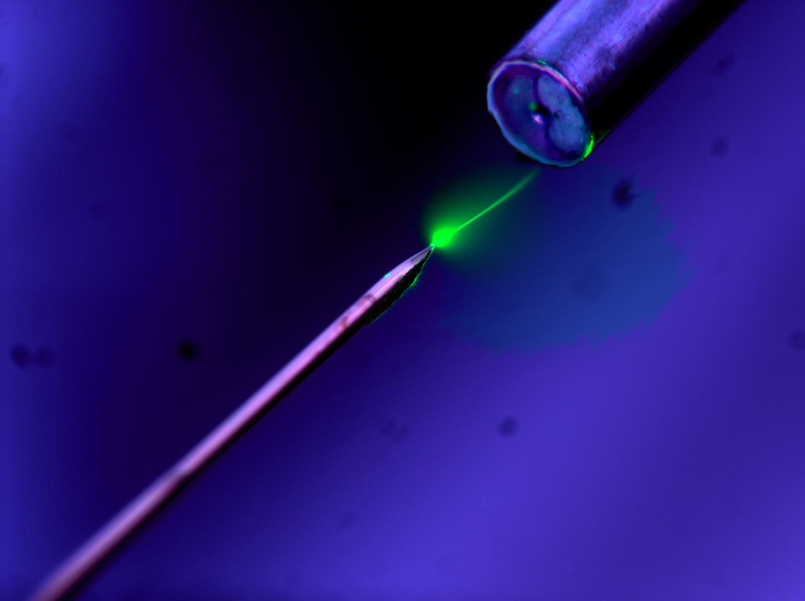 Fast Spectroscopy - Rosalind Franklin Institute